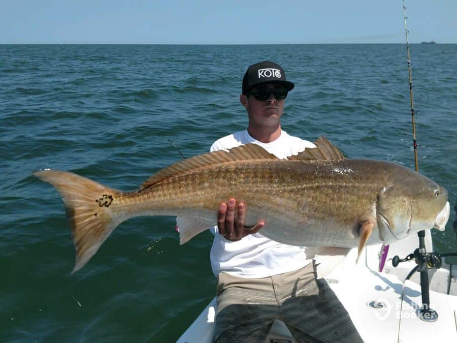 redfish caught