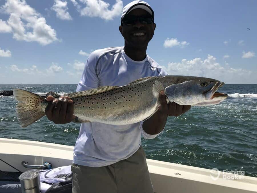 sea trout caught