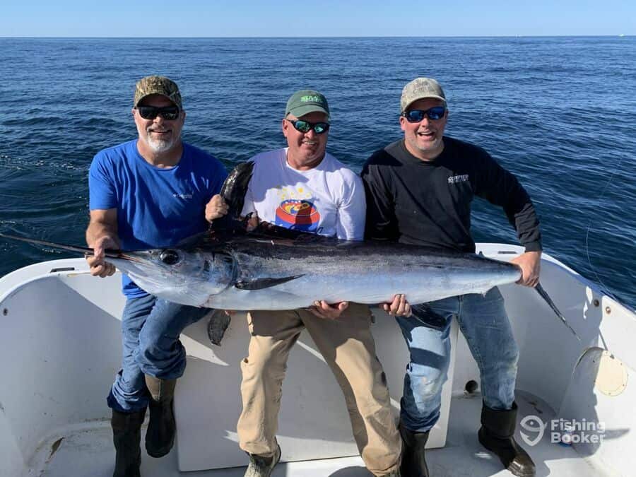 marlin caught by three anglers
