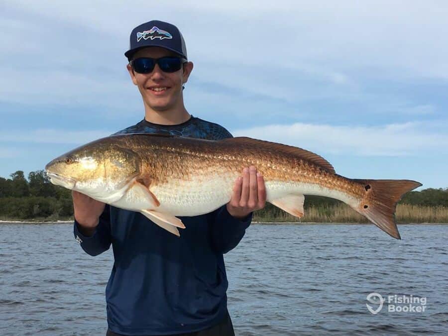 redfish caught by angler