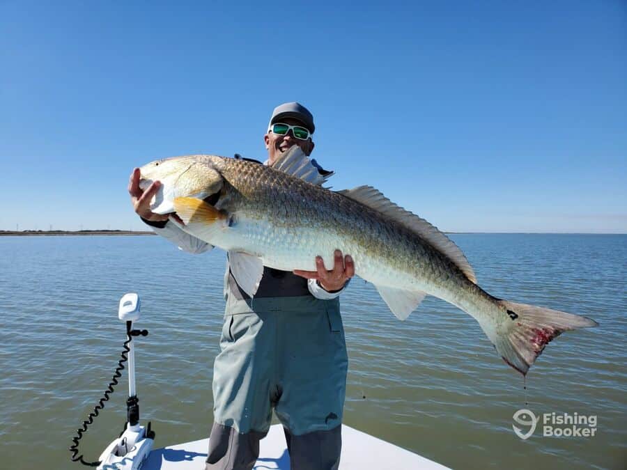 big redfish caught
