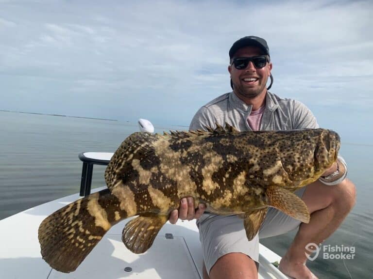 Average Cost of Fishing Charters in Key Largo (Full Guide)