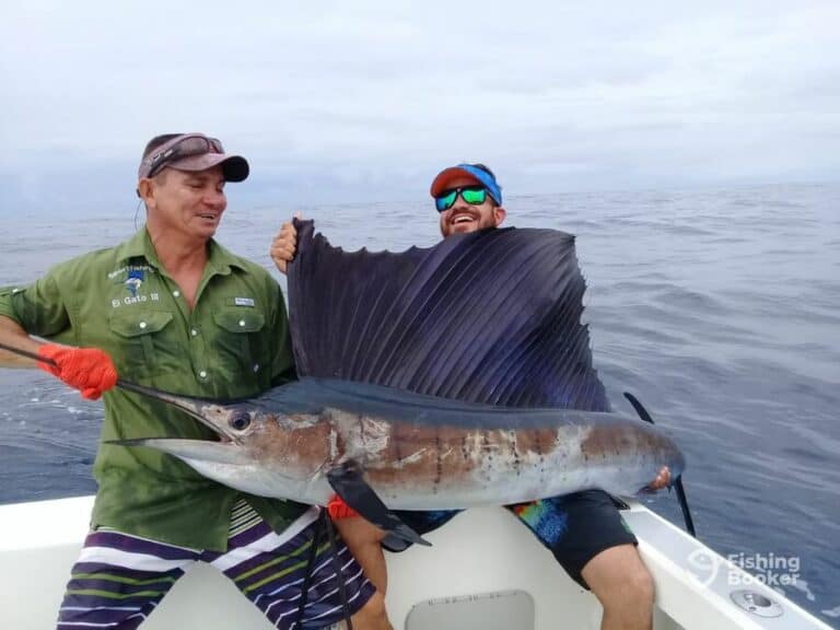 Average Cost of Costa Rica Fishing Charters (Complete Guide)