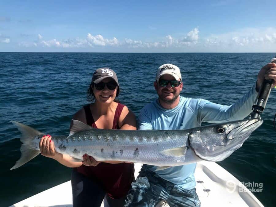 barracuda caught