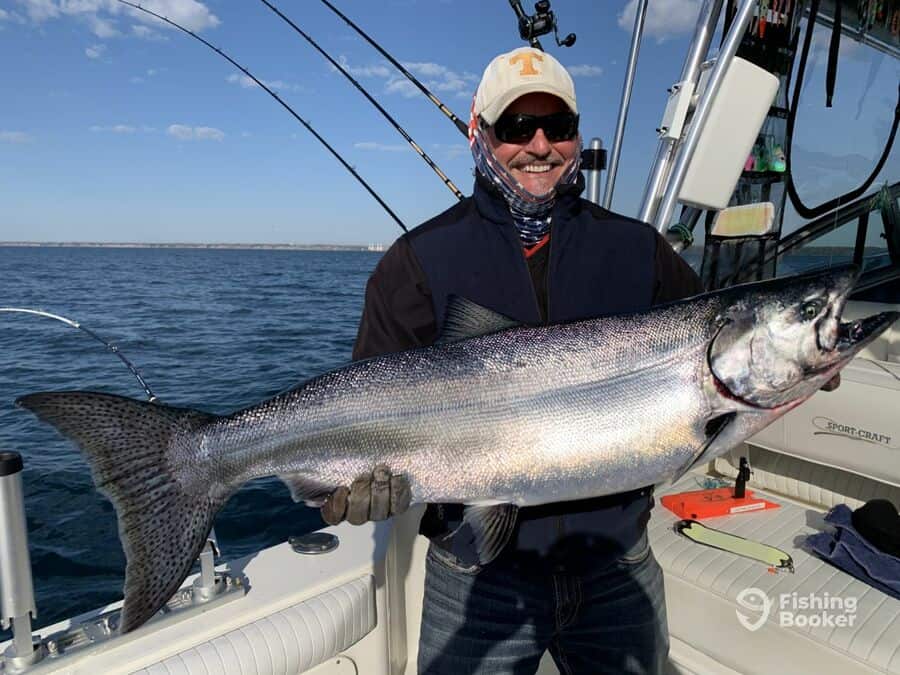 salmon caught