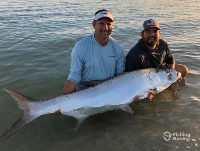 Best Times & Seasons to Catch Tarpon in North Carolina