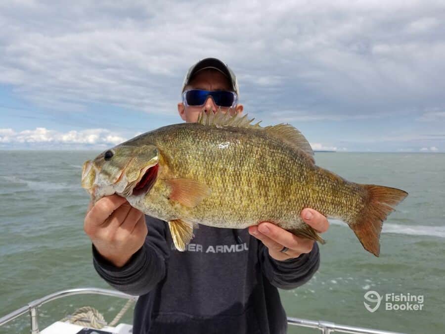 smallmouth bass caught