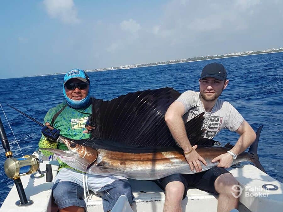 sailfish caught