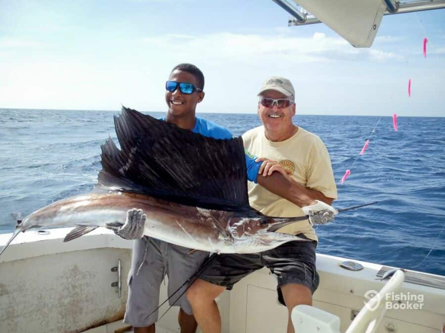 sailfish caught