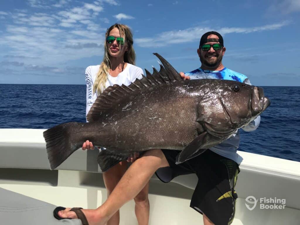 black grouper caught