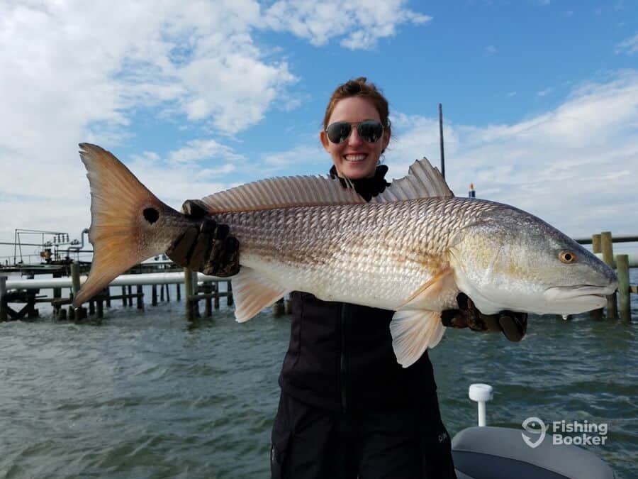 redfish caught