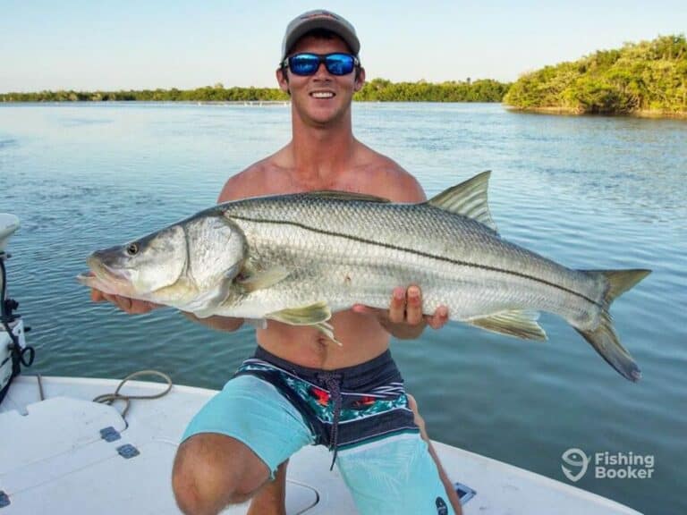 Best Times & Seasons to Fish in Captiva, FL (Complete Guide)