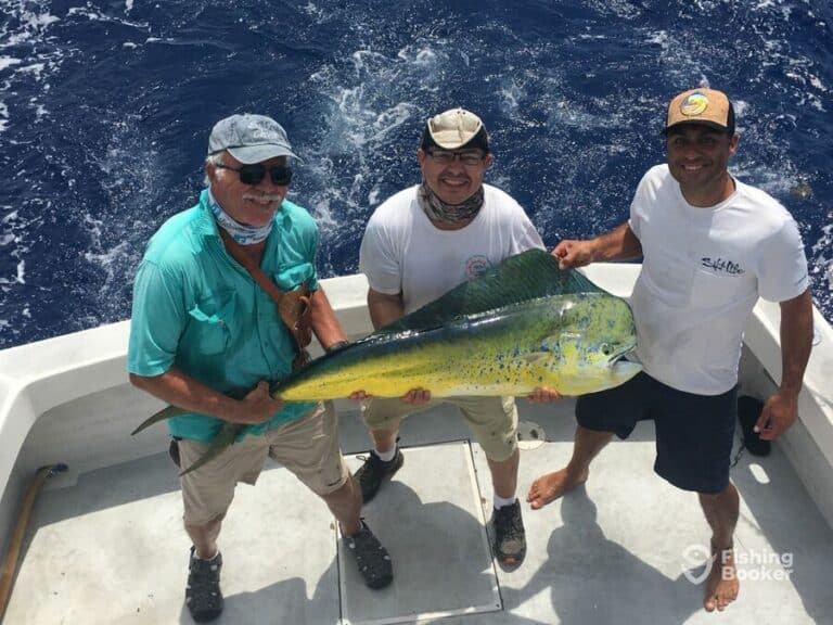 Complete Guide to Key Largo Fishing (Best Times, Spots, etc)