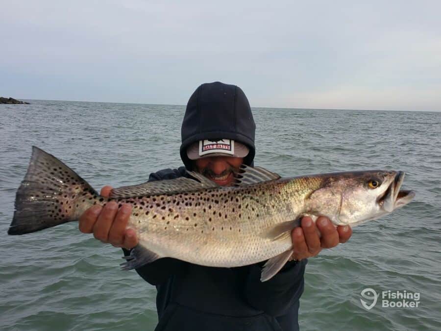 seatrout caught by an angler