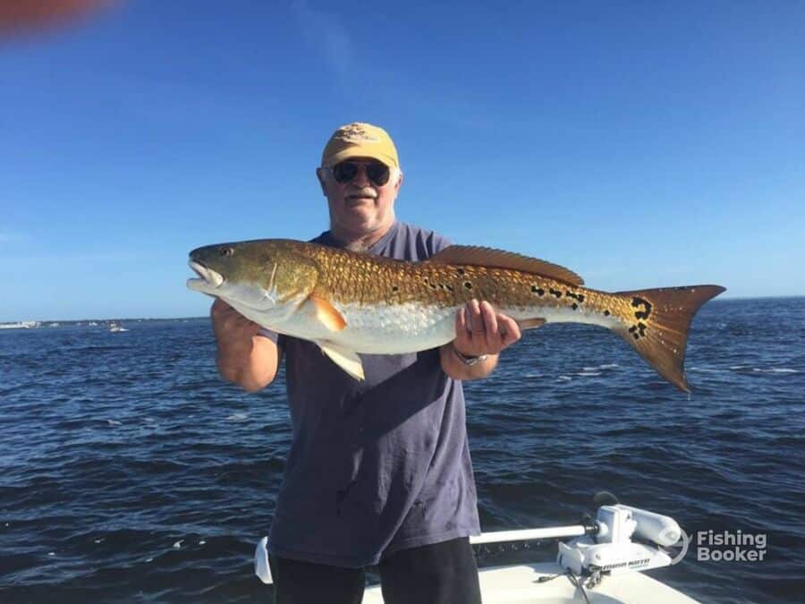 redfish caught by an anglers