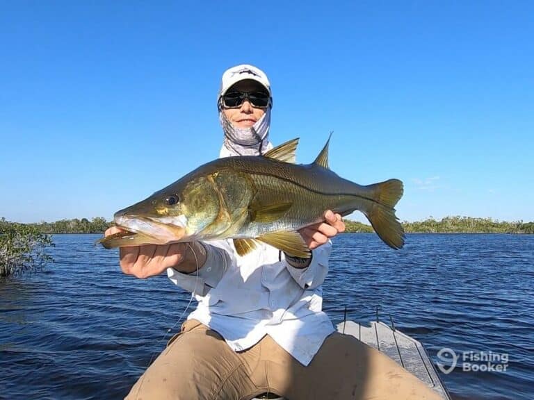 Best Times & Seasons to Fish in Homestead, FL (Full Guide)