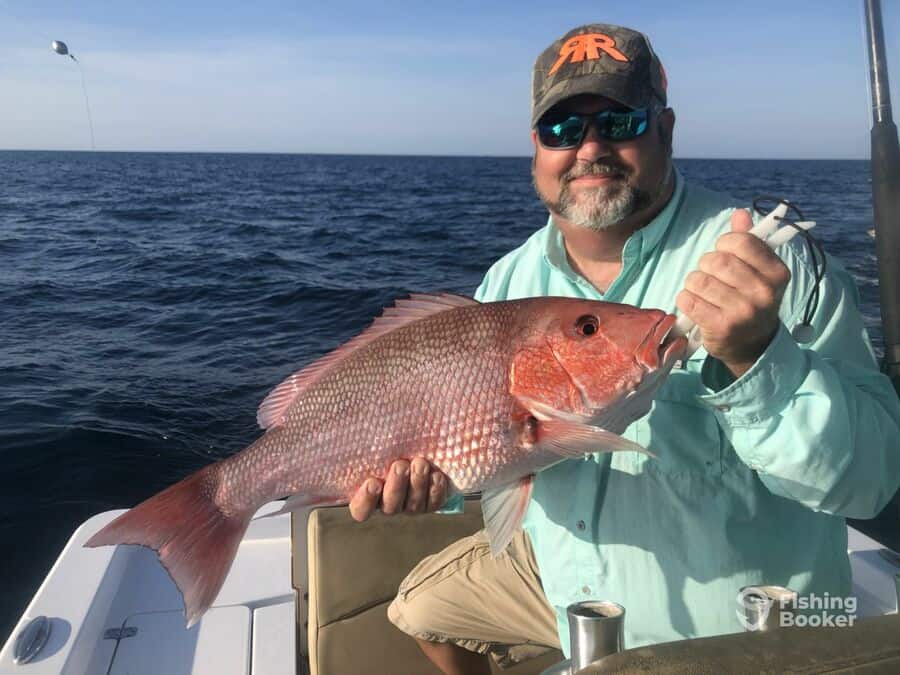 snapper caught