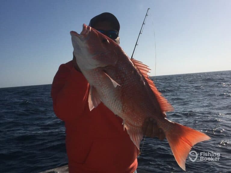 Best Times & Seasons to Catch Snapper in Texas (Full Guide)