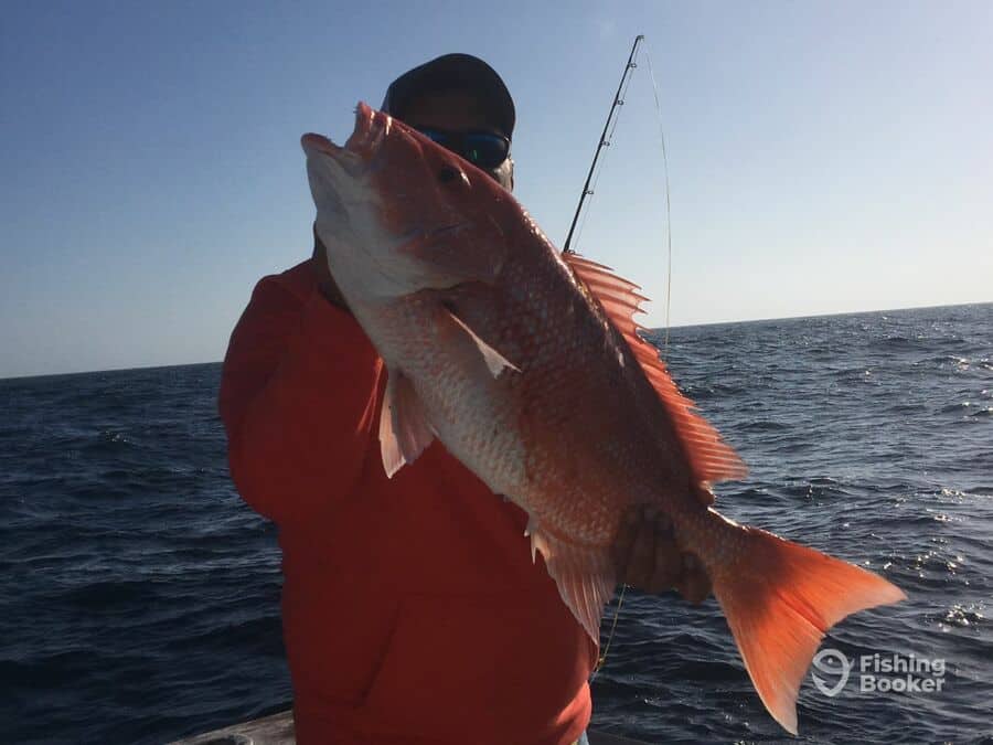 Best Times & Seasons to Catch Snapper in Texas (Full Guide