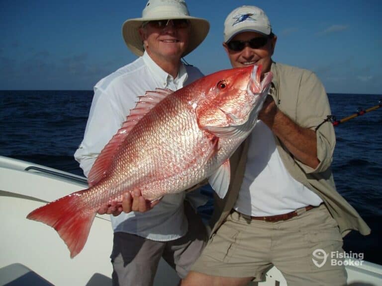 Best Times & Seasons to Catch Snapper in Florida (A Guide) Freshwater