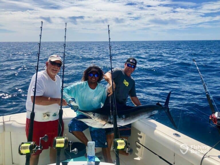 Best Times & Seasons to Catch Marlin in Costa Rica