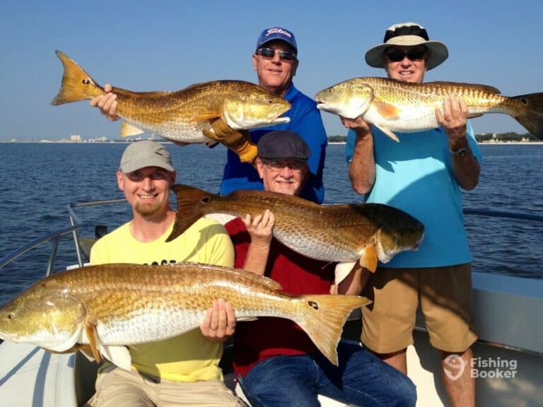 Best Times & Seasons to Catch Redfish in Mississippi