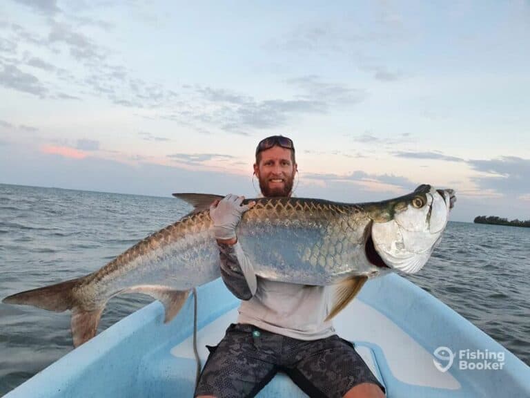 Best Times & Seasons to Catch Tarpon in Belize (Full Guide)