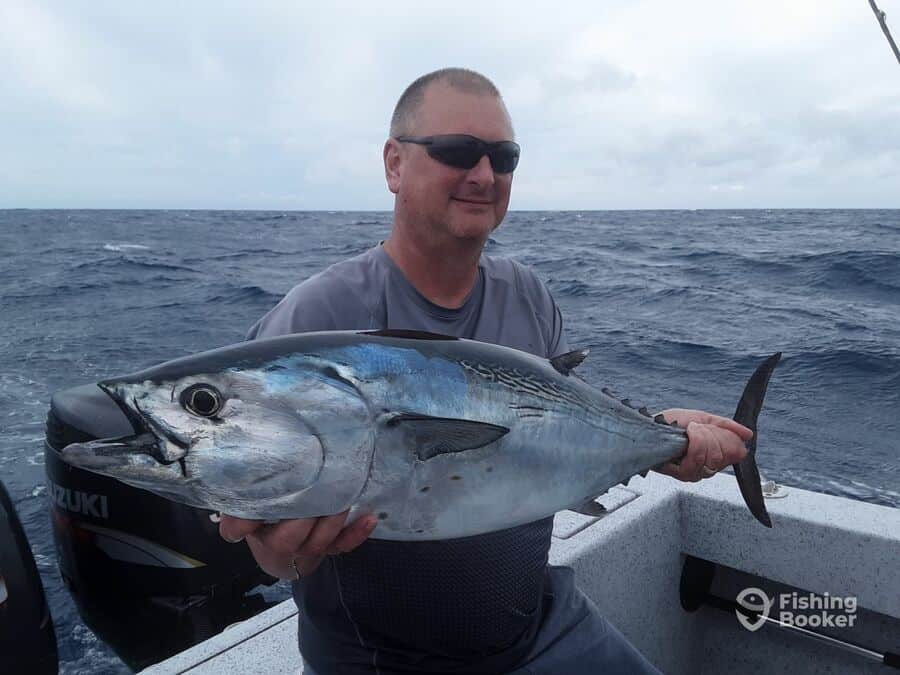 tuna caught