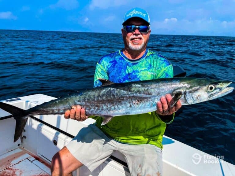 Best Times & Seasons to Catch King Mackerel in Florida