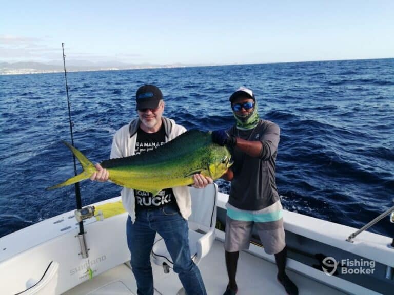 Best Times & Seasons to Catch MahiMahi in Cabo San Lucas Freshwater