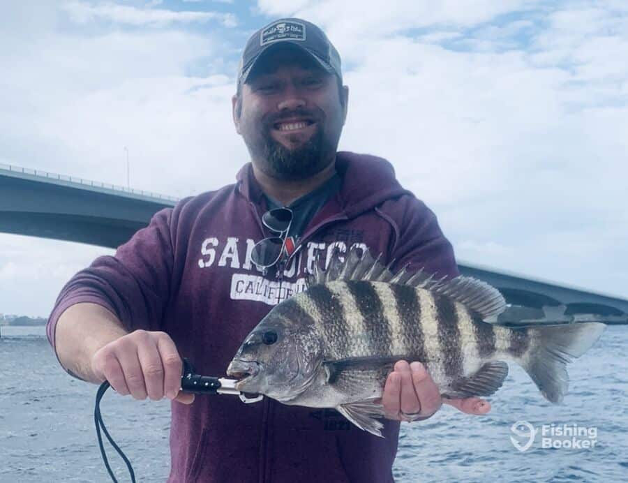 Best Times & Seasons to Catch Sheepshead in Florida Freshwater