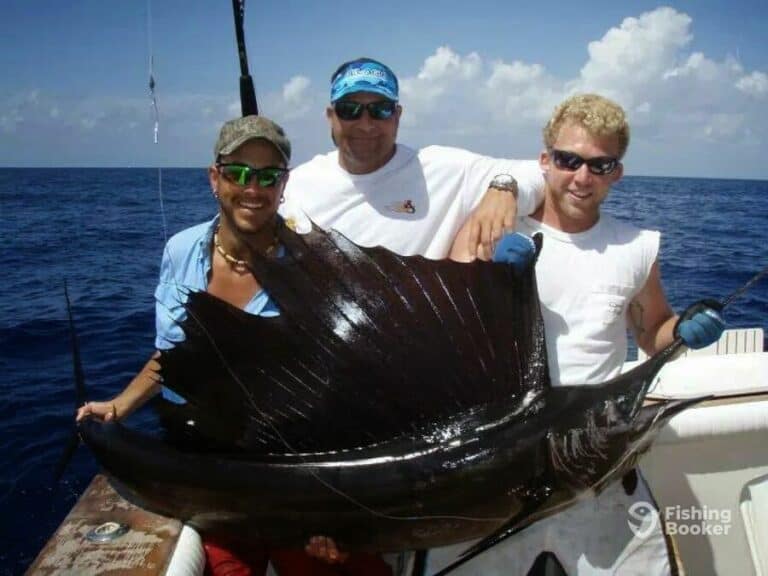 Best Times & Seasons to Catch Sailfish in Florida (Guide)