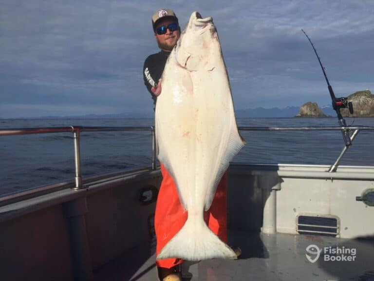 Best Times & Seasons to Catch Halibut in Alaska (Full Guide)