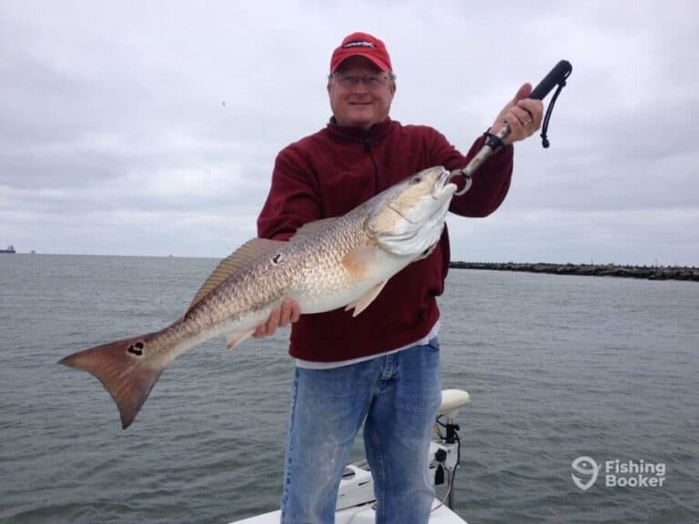 15 Best Fishing Charters in Gulf Shores, AL (Full Guide)