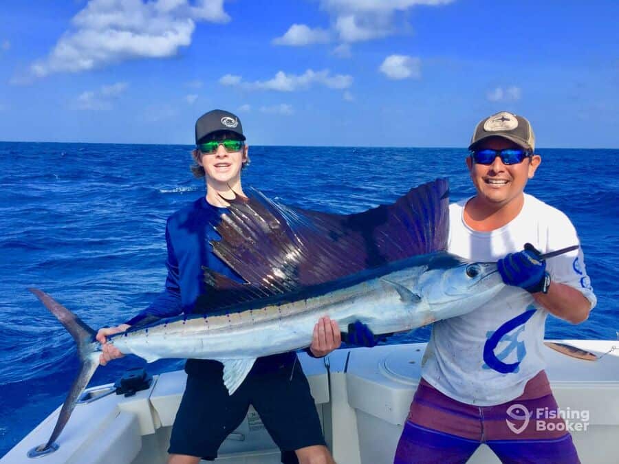 sailfish caught on board a nice charter boat