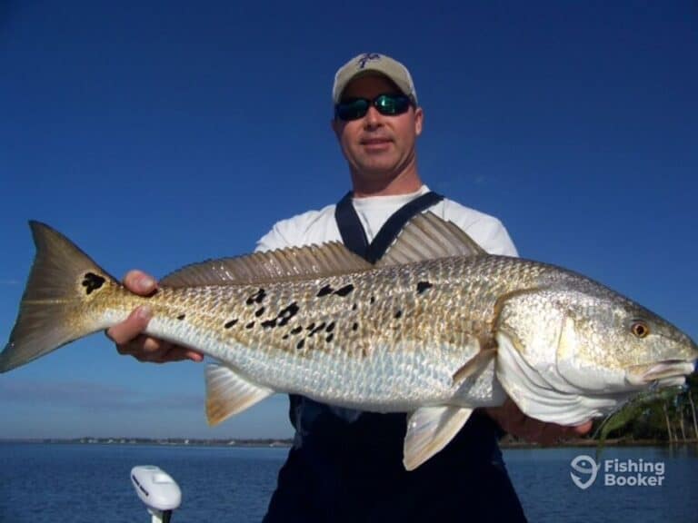 Best Times & Seasons to Catch Redfish in Alabama