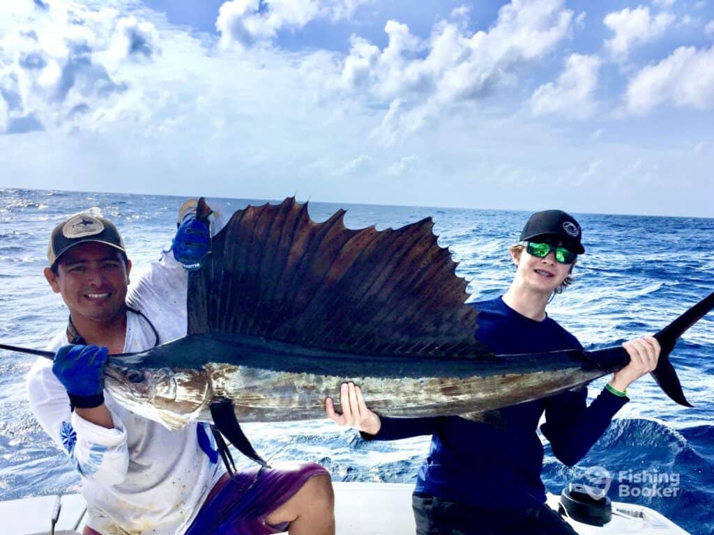 nice sailfish being held up by two anglers