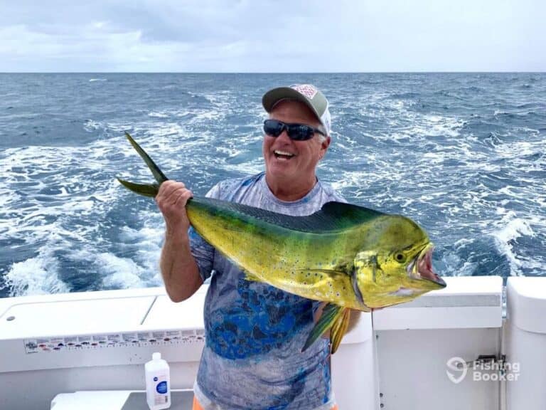 Best Times & Seasons to Catch Mahi-Mahi in North Carolina