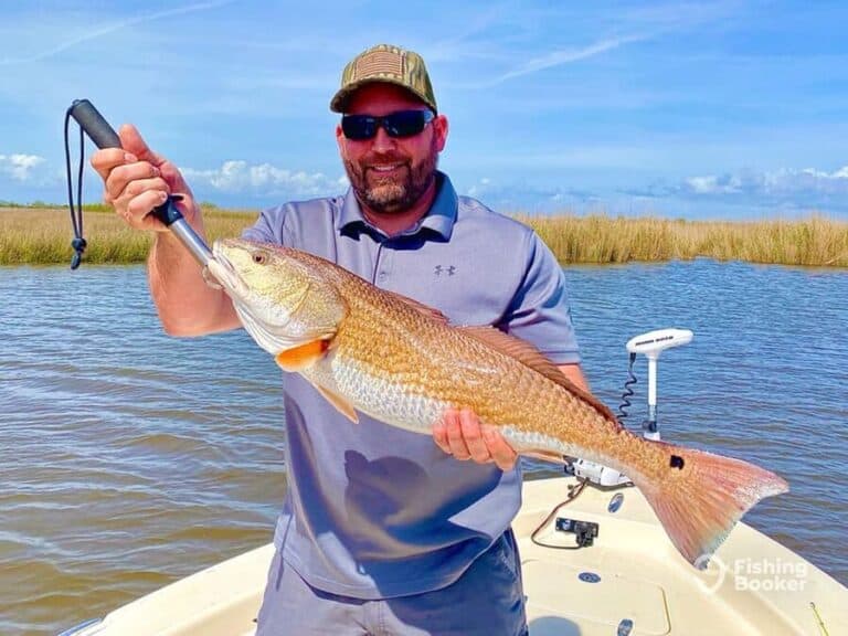 Best Times & Seasons to Catch Redfish in Louisiana