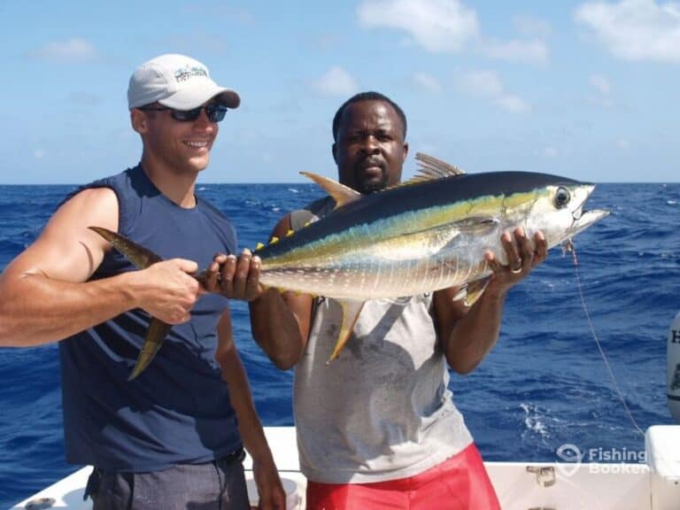 Best Times & Seasons to Catch Fish in Turks & Caicos