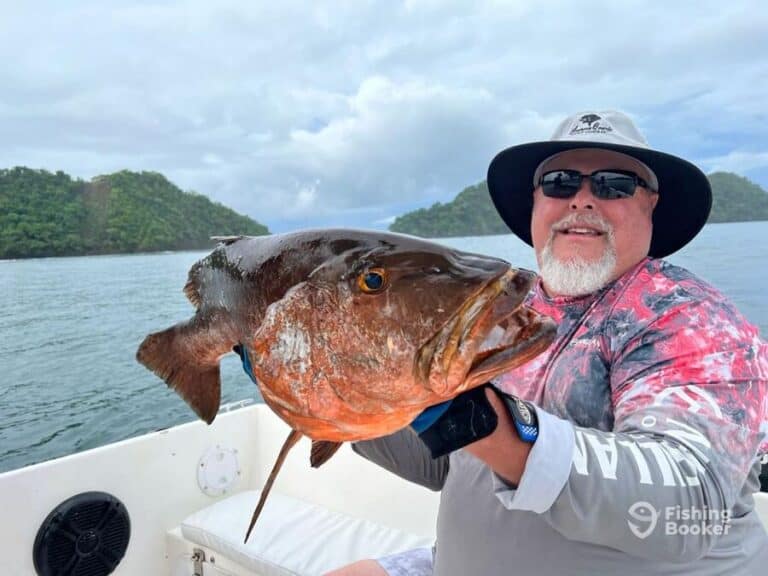 Best Times & Seasons to Catch Snapper in Costa Rica (Guide)