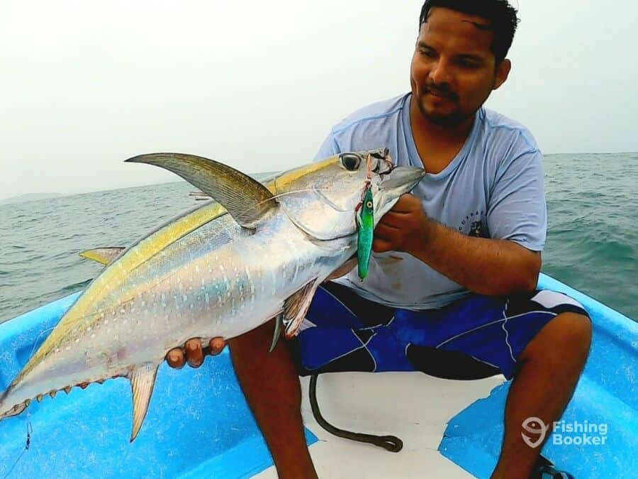 nice yellowfin tuna caught on a small boat