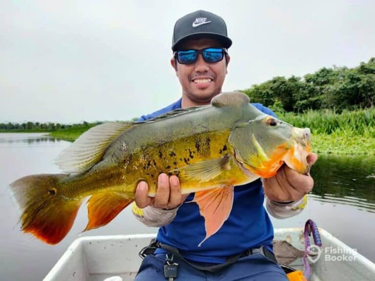 Best Times & Seasons to Fish in Malaysia (Complete Guide)