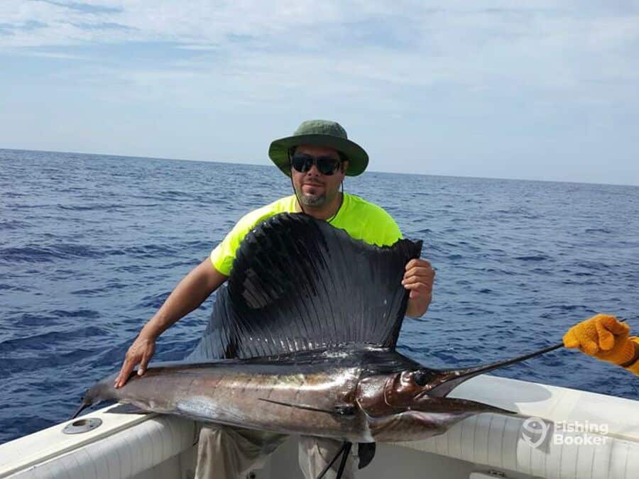big sailfish caught by angler
