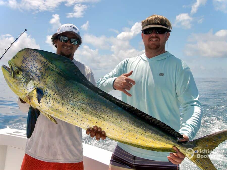 nice mahi caught by two happy anglers wearing light colors
