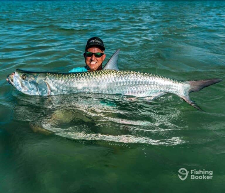 Best Tarpon Fishing Spots & Charters in Florida (Full Guide)