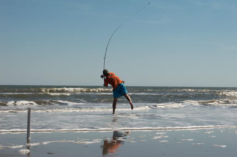 Best Fishing Lines for Surf Fishing (Complete Guide)