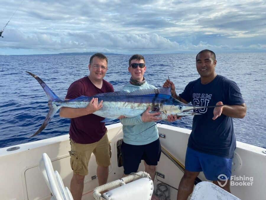 nice spearfish caught by three anglers