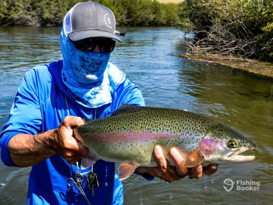 nice rainbow trout caught by angler