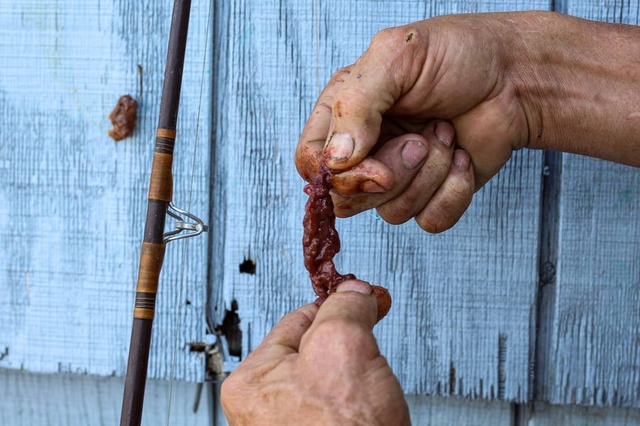 beef liver for catfish